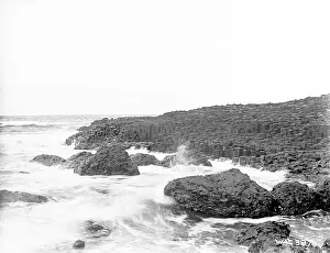 Causeway: The Giant's Causeway