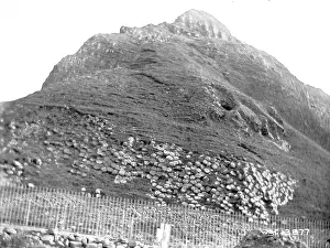 Causeway: The Giant's Causeway