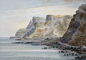 Cecilia: The Giant's Causeway