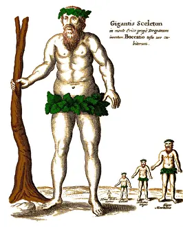 Imaginary: Giants, Legendary Creatures