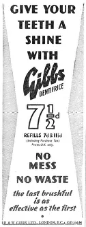 Dentifrice: Gibbs Tooth Paste - Gibbs Dentifrice