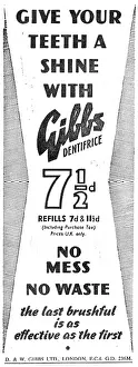 Refills: Gibbs Toothpaste Refills