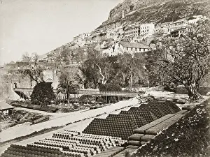 Depots: Gibraltar
