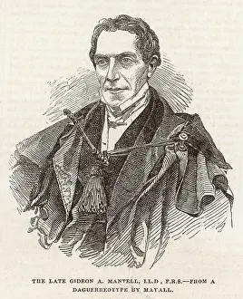 Mantell: GIDEON MANTELL