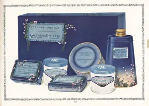 Product Catalog: Gift box of Trailing Arbutus brand cosmetics from CPC, 1927