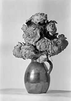 Petrograd: Gift to V.Lenin
