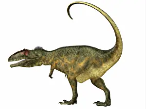 Carcharodontosaurid: Giganotosaurus dinosaur, side view