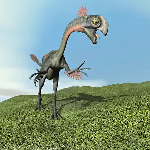 Oviraptorosaur: Gigantoraptor dinosaur