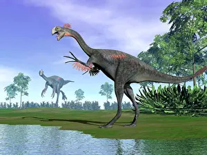 Maniraptora: Two Gigantoraptor dinosaurs in a prehistoric environment