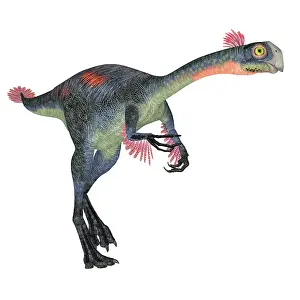 Flightless: Gigantoraptor feathered dinosaur, side view on