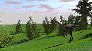 Maniraptora: Gigantoraptor in a grassy field