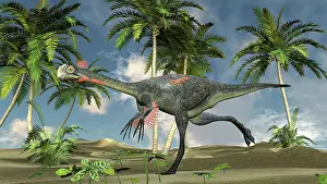 Maniraptora: Gigantoraptor running