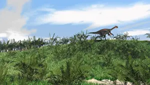 Maniraptora: Gigantoraptor running across an open field
