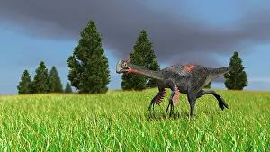 Savanna: Gigantoraptor running across an open field