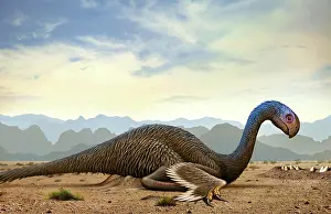 Oviraptorid: Gigantoraptor, a theropod dinosaur from the Cretaceous ?