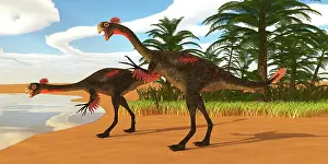 Flightless: Gigantoraptor theropod dinosaurs come down to