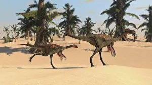 Tempskya: Two Gigantoraptors in desert landscape