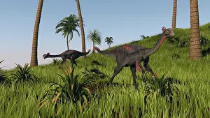 Oviraptorosaur: Two gigantoraptors in a grassy field