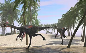Maniraptora: Two Gigantoraptors running