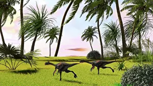 Gigantoraptor: Two Gigantoraptors running across a grassy field