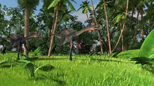 Gigantoraptor: Two Gigantoraptors running across a grassy field