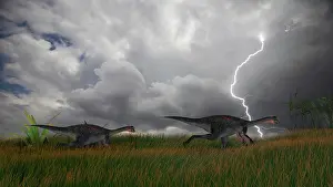 Thunderstorm: Two Gigantoraptors running across a grassy field during a ?