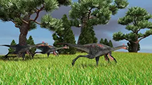 Grasslands: Three Gigantoraptors running across a grassy field