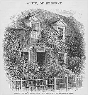 Selborne: GILBERT WHITE/SELBORNE