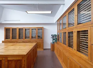 Renovations: Gilding Reserve - BNF Richelieu - Paris