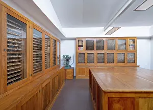 Renovations: Gilding Reserve - BNF Richelieu - Paris