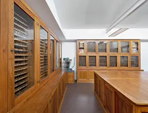 Renovations: Gilding Reserve - BNF Richelieu - Paris