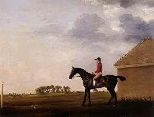 Newmarket: Gimcrack and John Pratt, by Stubbs