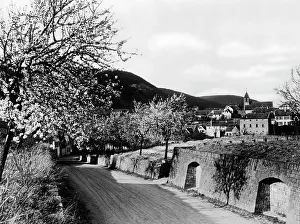 Laurentius: Gimmeldingen, 1937
