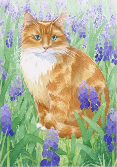 Hyacinths: Ginger Cat with Grape Hyacinths