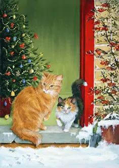 Winnie: Ginger Cat and Kitten