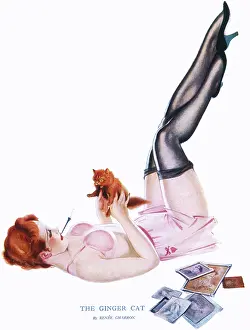 Shapely: The Ginger Cat by Renee Charron