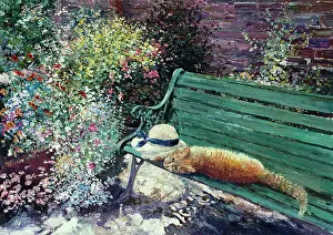 Mean: Ginger cat and sunhat on garden seat