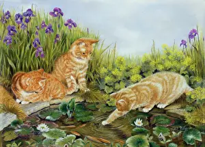 Goldfish: Three ginger cats by a garden pond