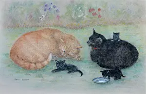 Shepperson: Ginger and Kittypuss with her Kittens