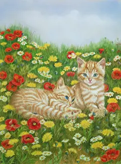 Dandelions: Two Ginger Tabby Kittens in a Meadow