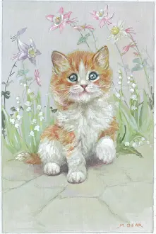 Columbines: Ginger and white kitten