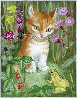 Strawberries: Ginger and white kitten looking at a frog
