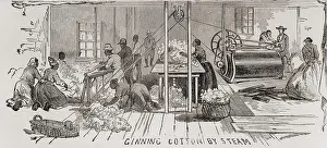Ginning: Ginning cotton by steam powered gin in 1861. ?