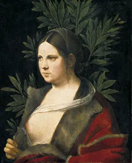 1348: GIORGIONE. Laura