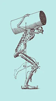 Musculature: Giovanni Borelli, Biomechanics, 1680
