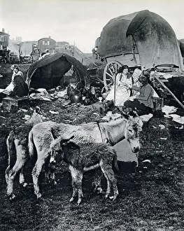 Feb23: Gipsies of Epsom Downs