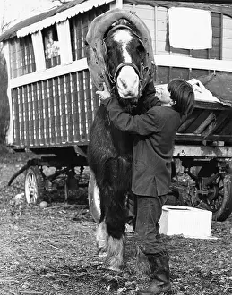 Wellingtons: GIPSY BOY & HORSE 1973