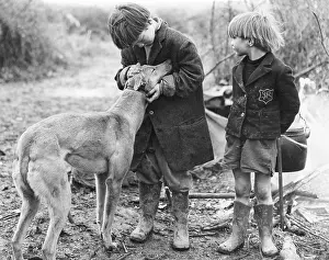 Wellies: GIPSY BOYS & DOG