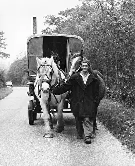Horley: GIPSY, HORSES, CARAVAN