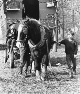 Blinkered: GIPSY KIDS & CARAVAN